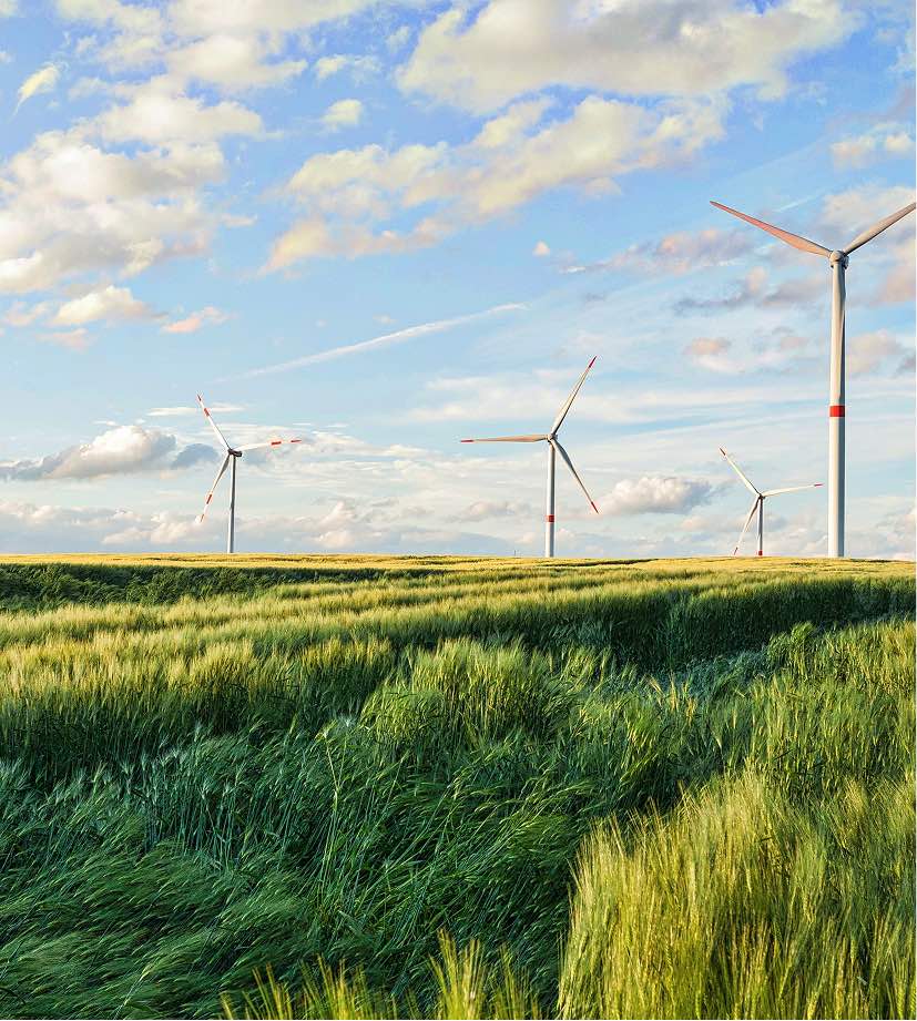 Photo d'un champ où se tiennent 4 grandes éoliennes